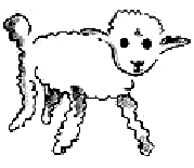 S'il te plait, dessine moi un mouton. Mouton